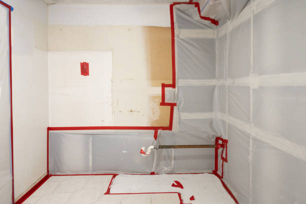 Best Mold Remediation for Healthcare Facilities  in Mercerville, NJ