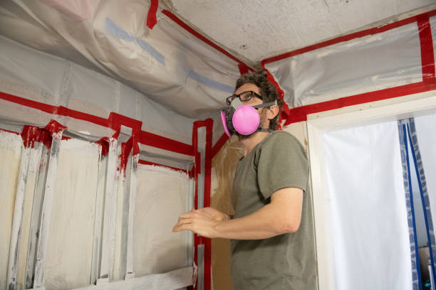 Best Post-Construction Mold Inspection  in Mercerville, NJ