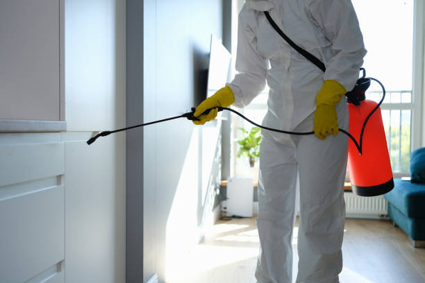 Best Asbestos and Lead Testing During Mold Inspection  in Mercerville, NJ