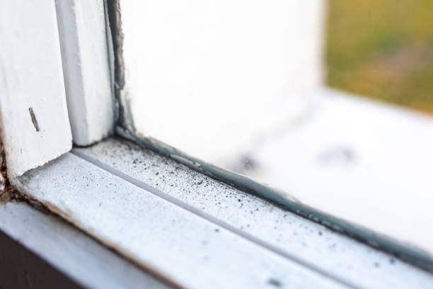 Best Mold-Related Health Consultation  in Mercerville, NJ