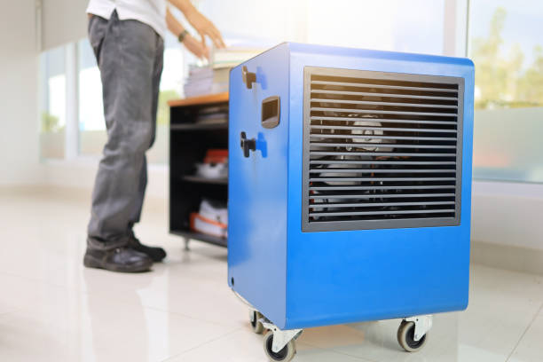 Best Industrial Mold Remediation  in Mercerville, NJ