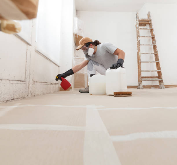 Best Dehumidification Services  in Mercerville, NJ