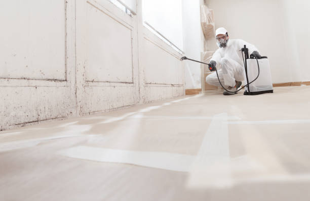Best Mold Removal for HVAC Installations  in Mercerville, NJ