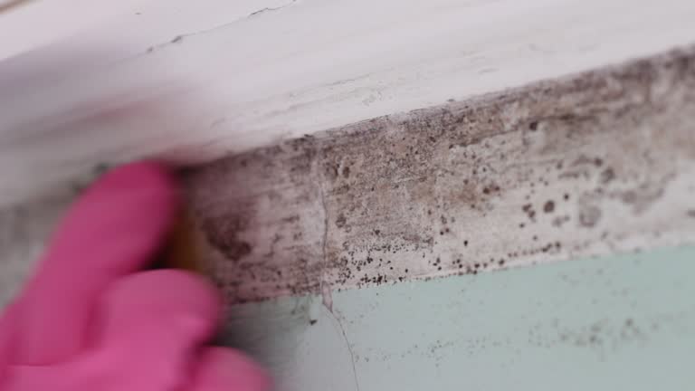 Best Residential Mold Inspection & Testing  in Mercerville, NJ